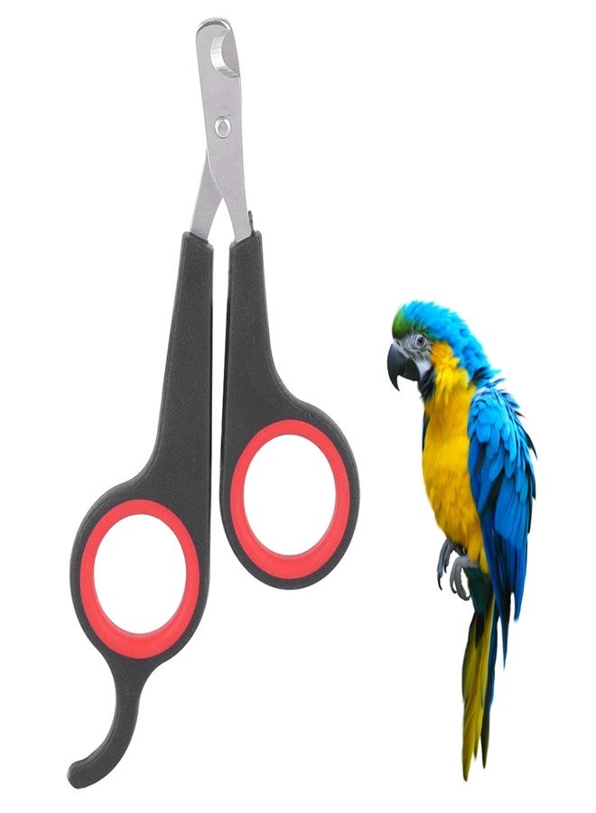 Kodrily Bird Nail Clippers, Stainless Steel Small Animal Nail Clippers, Half Moon Pet Nail Scissors, Plastic Handle Pet Nail Clipper Scissors, Clipper Bird Grooming for Small Parrot Birds - Image 1
